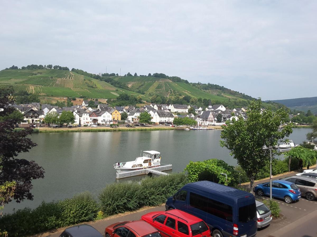 Mosel Panorama Lägenhet Zell an der Mosel Exteriör bild