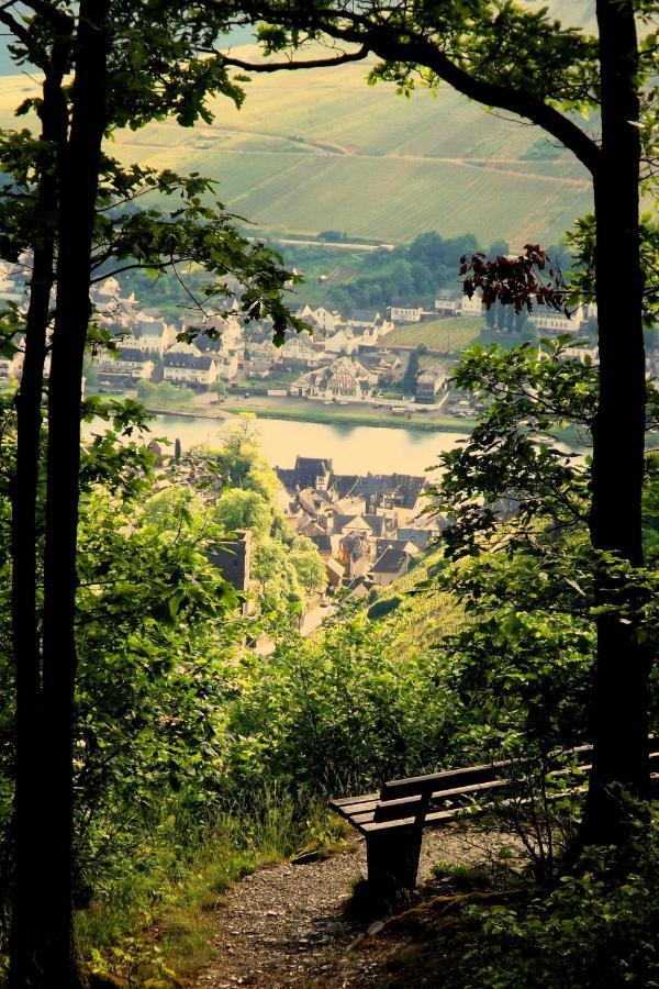 Mosel Panorama Lägenhet Zell an der Mosel Exteriör bild