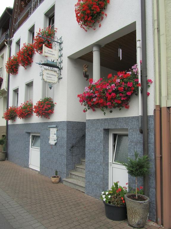Mosel Panorama Lägenhet Zell an der Mosel Exteriör bild