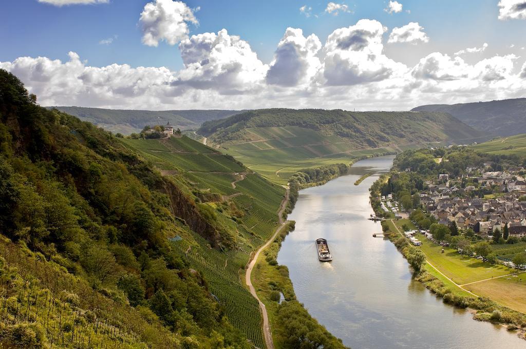 Mosel Panorama Lägenhet Zell an der Mosel Exteriör bild