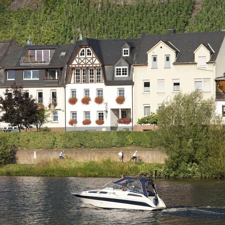 Mosel Panorama Lägenhet Zell an der Mosel Exteriör bild