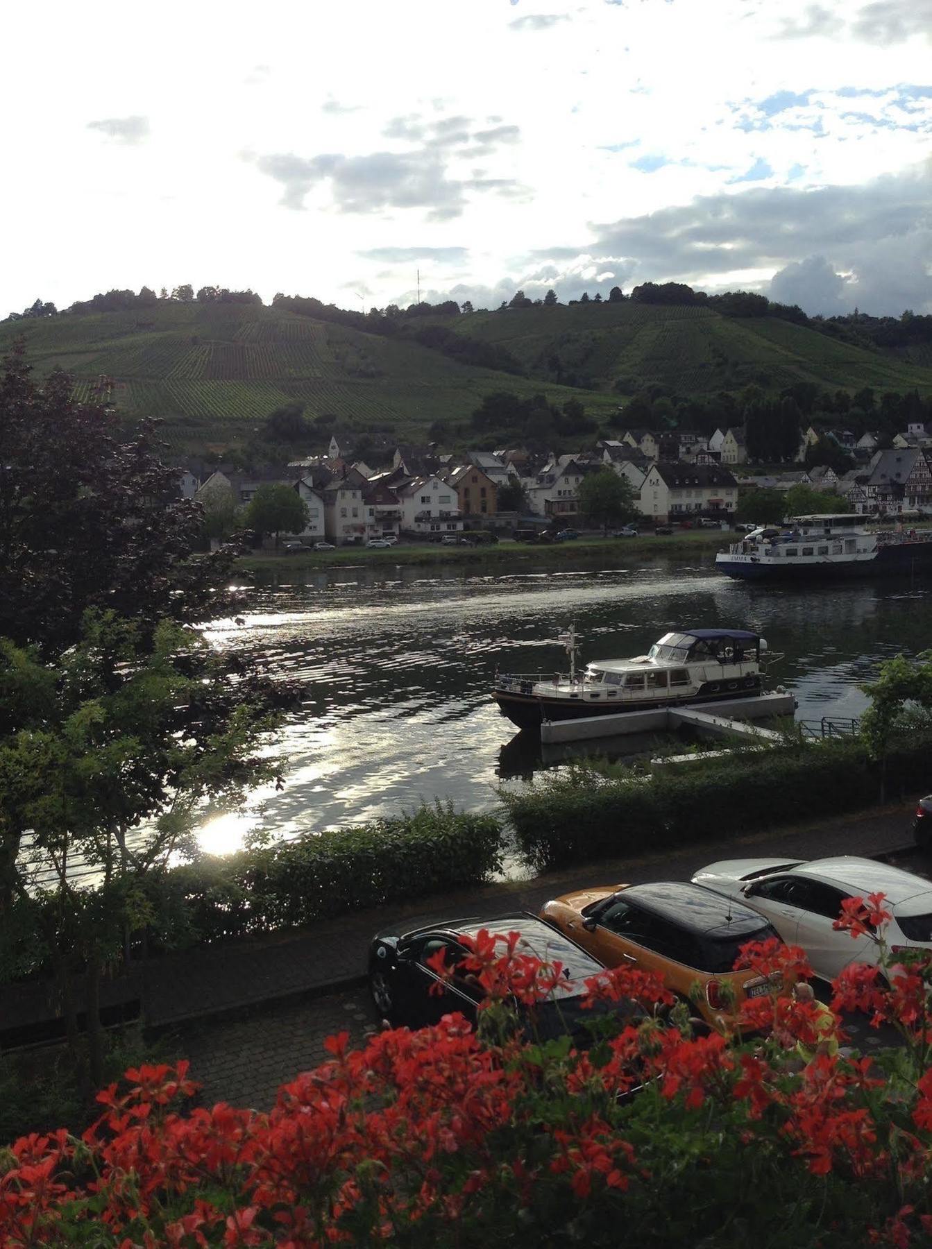 Mosel Panorama Lägenhet Zell an der Mosel Exteriör bild