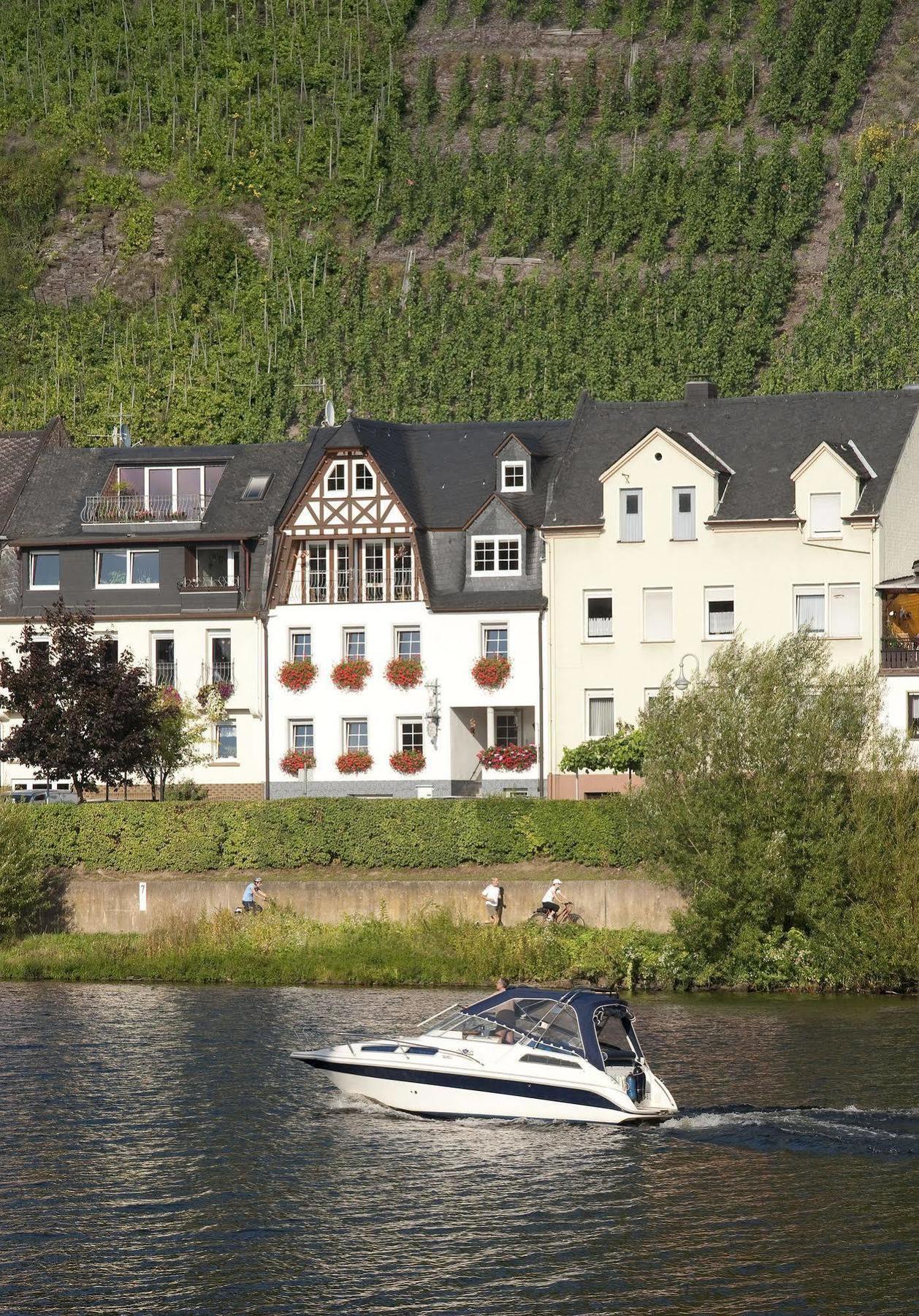 Mosel Panorama Lägenhet Zell an der Mosel Exteriör bild