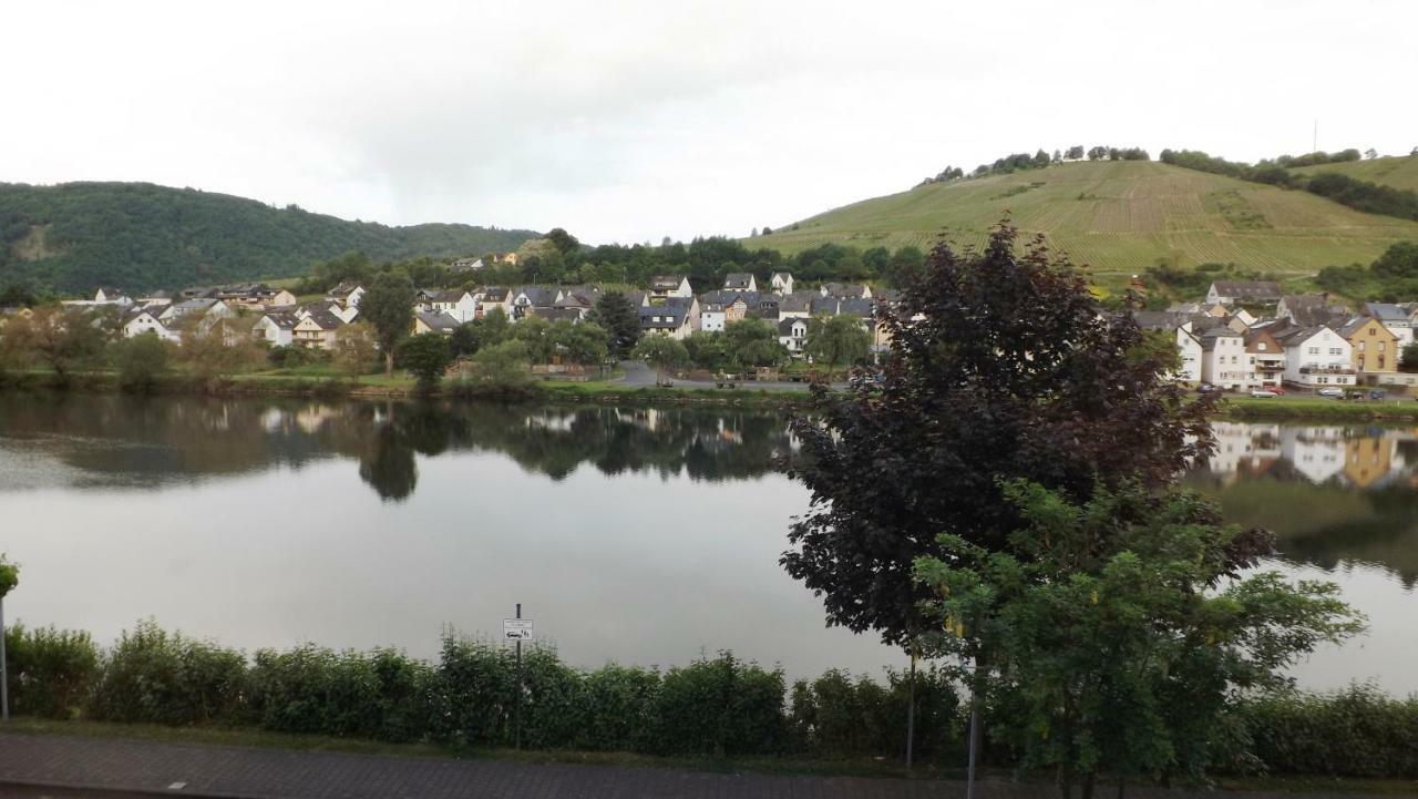 Mosel Panorama Lägenhet Zell an der Mosel Exteriör bild